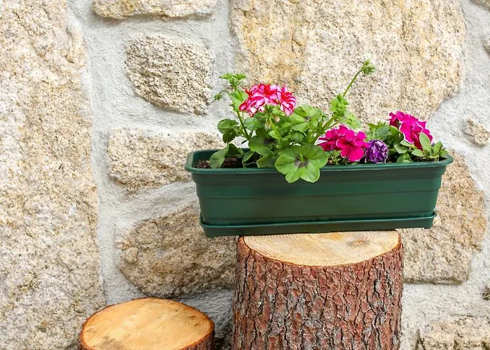 Casa vacanze Casa Do Avo Sortelha